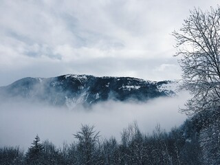 Montagne au loin sous la brume hivernale et ciel blanc, offrant une scène magnifique de la nature et du paysage.