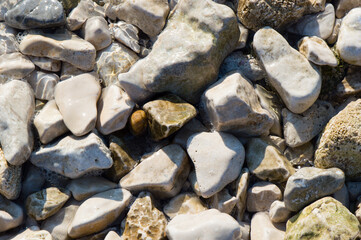 Sea stones on the shore, covered by clean Adriatic sea, irregular shapes background