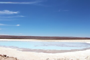 Fototapeta na wymiar Hidden lagoons Baltinache (Lagunas Escondidas de Baltinache) Atacama Desert, Chile. South America.