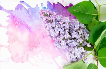 Lilac flowers on watercolor background