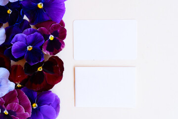 Pansy flowers styled stock scene