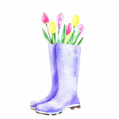 Cute watercolor drawing of a bouquet of tulips in boots. Great for printing, web, textile design, scrapbooking and souvenir products.