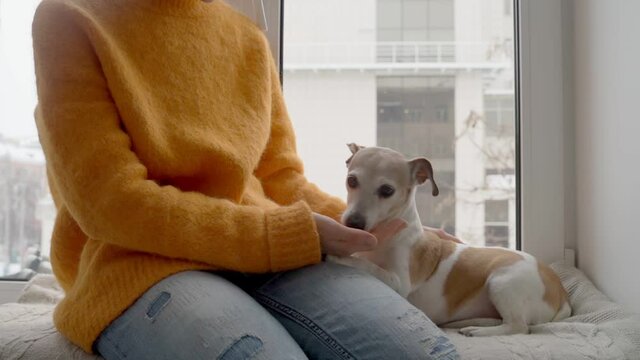 dog and owner are sitting on windowsill. love, tenderness and trust. adorable dog licks the girl's hand. Orange cozy sweater. winter snow outside the window. Relaxing chilling weekend at home with pet