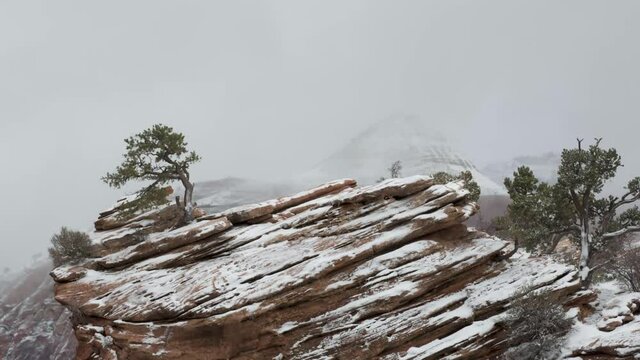 A time lapse video of clouds rolling between a lone juniper tree and partly hidden peaks in a snowy mountain landscape in Zion National park Utah December 2021. 