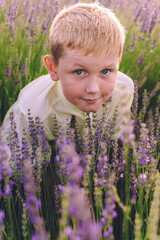 Boy in Lavender Field in Purple Bloom
