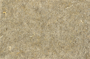 Dry coconut fiber for home cultivation, texture. Background from coconut coir. Top view