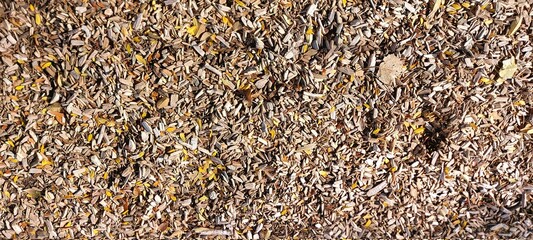 Backgrounds and textures: light wood shavings. Place for your text.