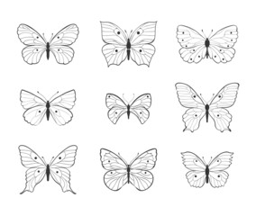Fototapeta na wymiar set of butterflies drawn in line art style, decorative outline. various shapes butterflies black lines on white background