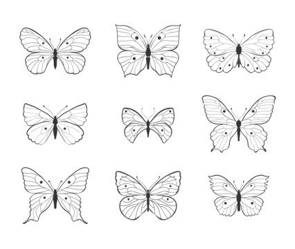 set of butterflies drawn in line art style, decorative outline. various shapes butterflies black lines on white background