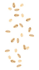 Dry uncooked oatmeal falling on white background
