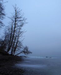 Neblige Küste mit Bäumen und Kiesstrand in Dänemark