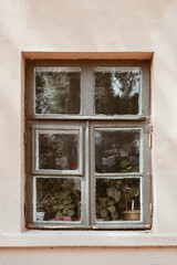 Fototapeta na wymiar Old wooden window with home plants