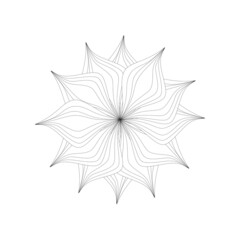 One line leaves set. Abstract botanical set of line branches and leaves. Plants in continuous line style.