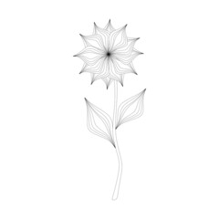 One line leaves set. Abstract botanical set of line branches and leaves. Plants in continuous line style.