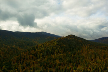 Obraz na płótnie Canvas Aerial view of beautiful forest in mountains on autumn day