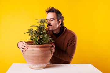 a man smells the flower of a cannabis plant on a yellow background