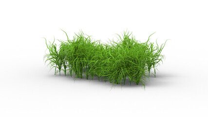 jungle grass with shadow 3d render