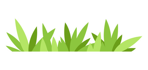Green grass illustration. Natural image of plant for design.