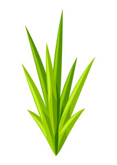 Green grass illustration. Natural image of plant for design.