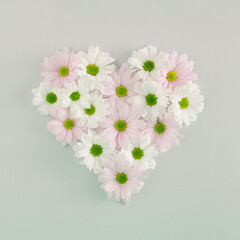 Creative pastel heart-shaped floral arrangement on a gray background. Minimal love concept. Valentine's Day, spring, Mother's Day or anniversaries inspiration. Margarita flowers.