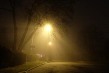 Street lamp at night makes its way through the fog 