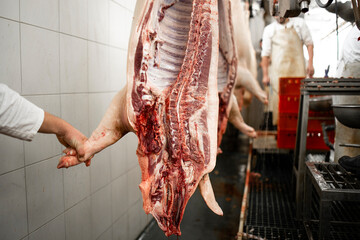 Industrial meat processing. Fresh raw pig meat in slaughterhouse.