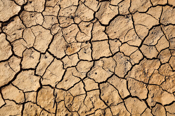 dry earth