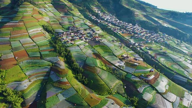Aerial view of the Nepal van java is a Rural tour on the slopes of mount sumbing, The beauty of building houses in the countryside of the mountainside. Magelang, Indonesia