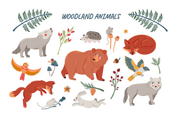 Vector set of cute woodland animals for baby shower and kids design. Collection of forest animals - bear, fox, wolf, rabbit and birds