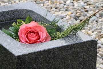 Eine Rose im Weihwasserkessel auf einem katholischen Friedhof in Österreich, eine Rose an einer Familiengrabstätte, Gedenken, Trauer, Tod