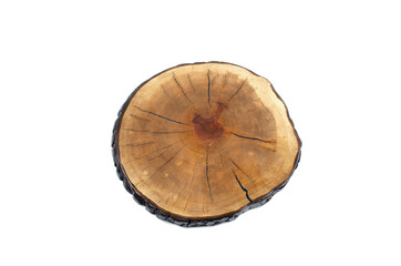 The cut is wooden. Sawed off a tree trunk. On white background. Texture - obrazy, fototapety, plakaty