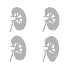 icons of body organs, kidney on a white background, vector illustration - obrazy, fototapety, plakaty
