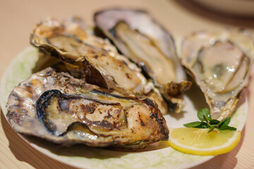 Steamed Oysters and Grilled Oysters
