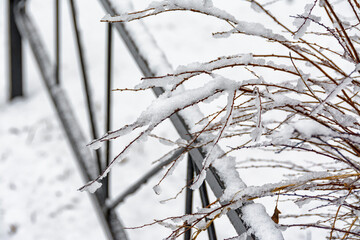 March thaw in the city with a drop and wet heavy snow.