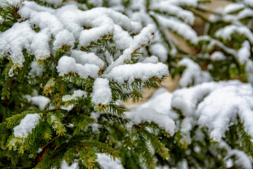 March thaw in the city with a drop and wet heavy snow.