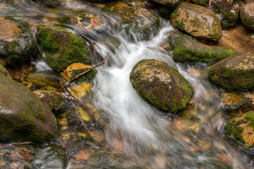 Mountain stream with stones with clear water