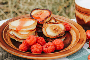 Summer picnic with pancakes, jam, berries and milk in nature. Sweet summertime, vacation, outdoor recreation, countryside concept.