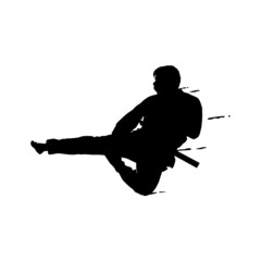 Splash silhouette judo kicking vector