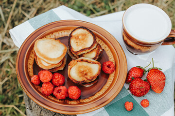 Summer picnic with pancakes, jam, berries and milk in nature. Sweet summertime, vacation, outdoor recreation, countryside concept.