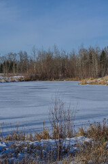 Pylypow Wetlands on a Snowy Autumn Day