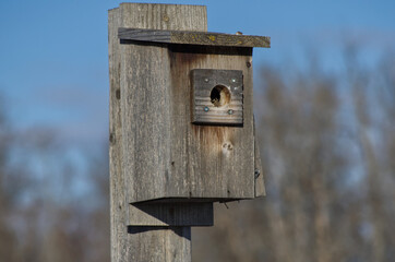 A Birdhouse for Tree Swallows