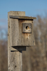 A Birdhouse for Tree Swallows