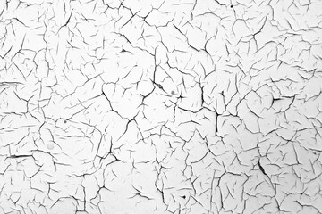 White cracked texture. Damaged, aged and weathered surface.