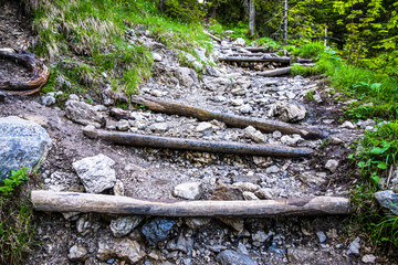 wooden steps at a forest