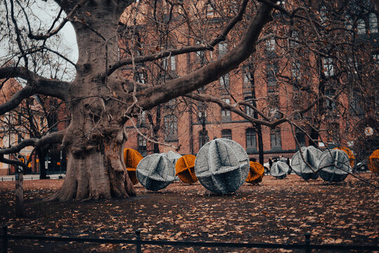 Bombki ogromne na trawniku pod drzewem © Seance_Photo_Sylwia