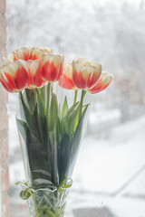 fresh bouquet with red tulips. spring flowers