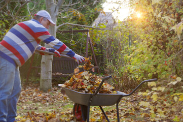 Autumn raking leaves in the garden