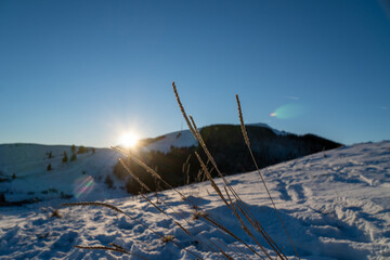 Ausblick auf das steirische Almenland im Winter mit Gräsern im Vordergrund