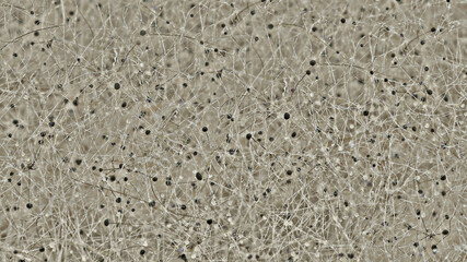 Seamless texture brown background, mold macro close-up, spores and threads of mold on surface