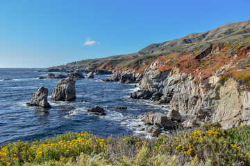 Monterey Coastline